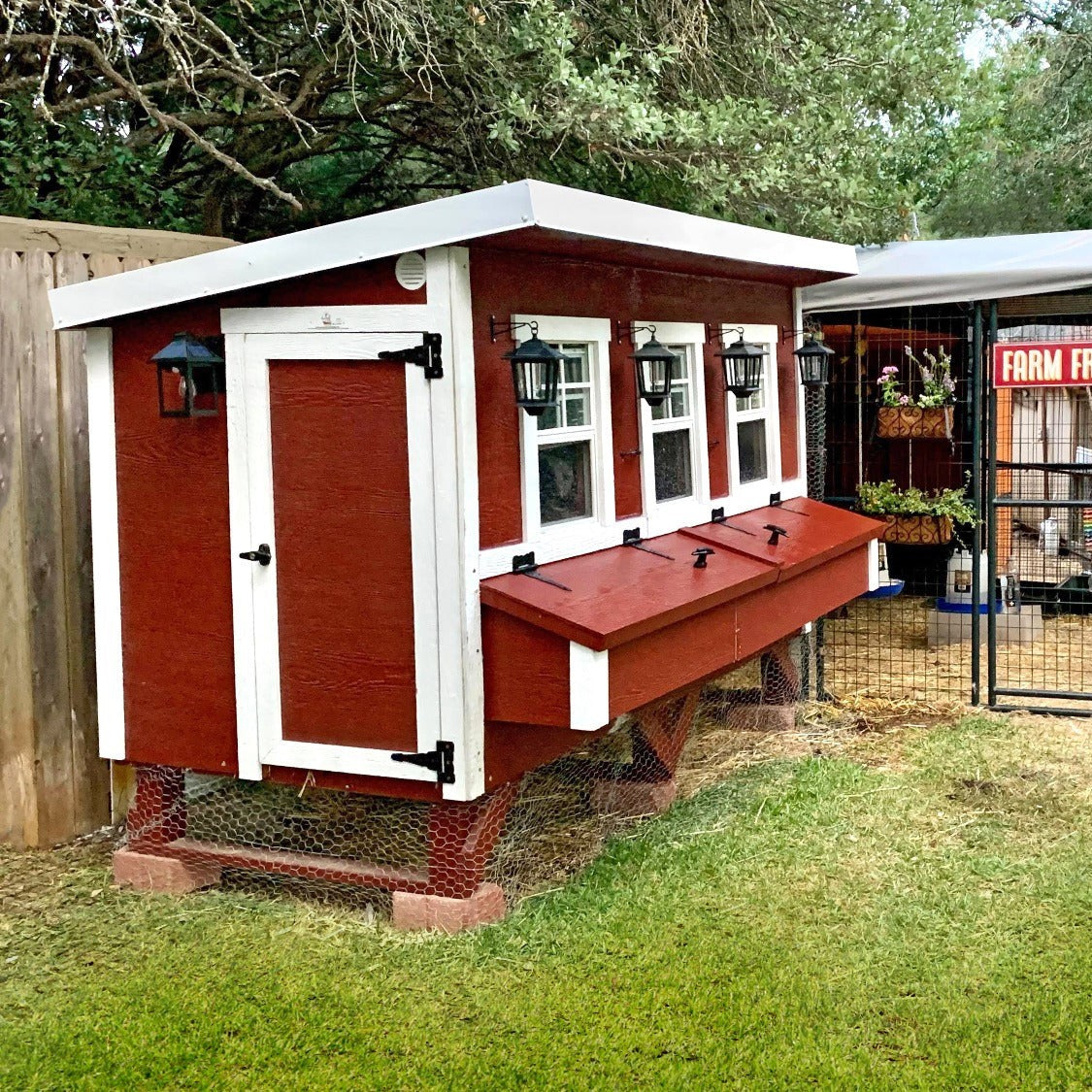 Chicken Coops